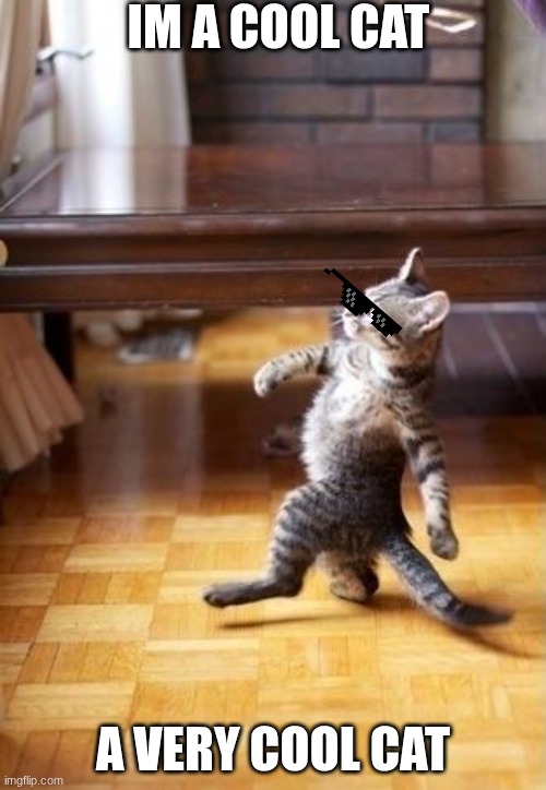 Cool Cat | IM A COOL CAT; A VERY COOL CAT | image tagged in memes,cool cat stroll | made w/ Imgflip meme maker