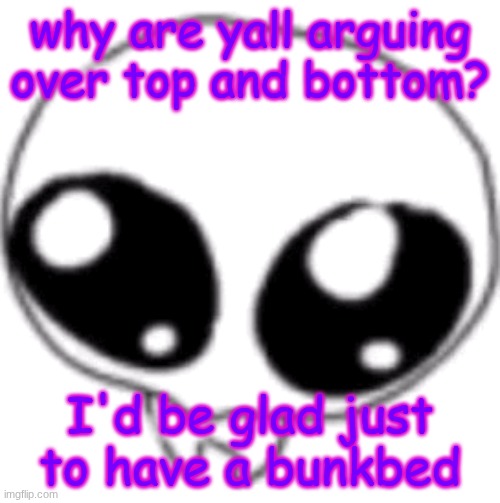 puppy eyes | why are yall arguing over top and bottom? I'd be glad just to have a bunkbed | image tagged in puppy eyes | made w/ Imgflip meme maker