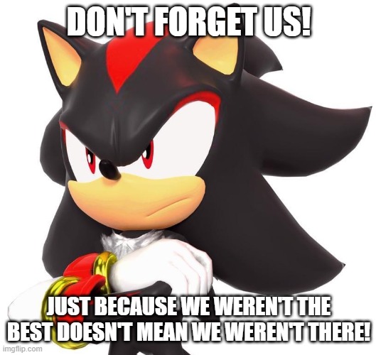 DON'T FORGET US! JUST BECAUSE WE WEREN'T THE BEST DOESN'T MEAN WE WEREN'T THERE! | image tagged in shadow the hedgehog | made w/ Imgflip meme maker