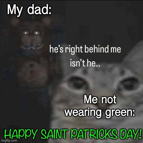 Happy Saint Patricks Day! | My dad:; Me not wearing green:; HAPPY SAINT PATRICKS DAY! | image tagged in he s right behind me isn t he | made w/ Imgflip meme maker