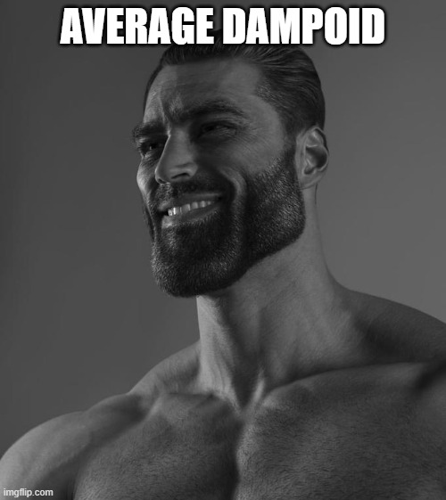 Dampoid= someone who worships dampe | AVERAGE DAMPOID | image tagged in sigma male | made w/ Imgflip meme maker
