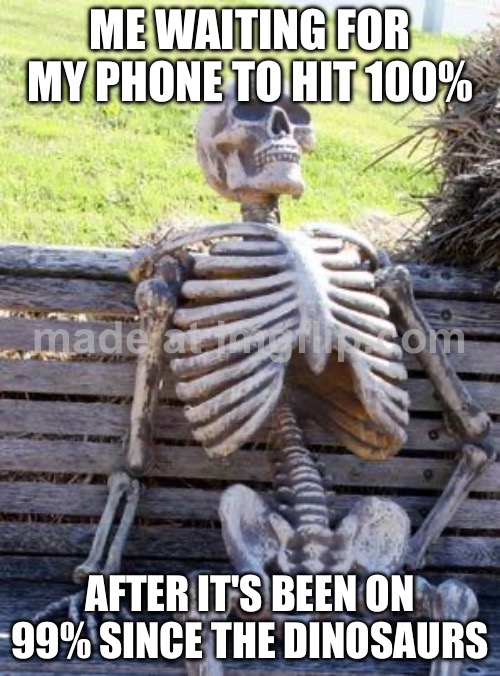 ME WAITING FOR MY PHONE TO HIT 100%; AFTER IT'S BEEN ON 99% SINCE THE DINOSAURS | ME WAITING FOR MY PHONE TO HIT 100%; AFTER IT'S BEEN ON 99% SINCE THE DINOSAURS | image tagged in memes,waiting skeleton,dinosaurs,phone,charger,battery | made w/ Imgflip meme maker