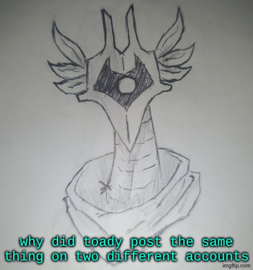 Hunter Temp by ShadowSkul | why did toady post the same thing on two different accounts | image tagged in hunter temp by shadowskul | made w/ Imgflip meme maker