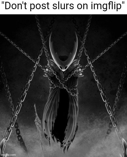 "Don't post slurs on imgflip" | image tagged in the hollow knight,hollow knight | made w/ Imgflip meme maker