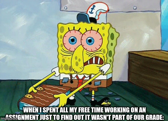 funny | WHEN I SPENT ALL MY FREE TIME WORKING ON AN ASSIGNMENT JUST TO FIND OUT IT WASN'T PART OF OUR GRADE: | image tagged in funny | made w/ Imgflip meme maker