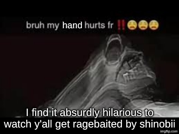 my hand hurts fr | I find it absurdly hilarious to watch y'all get ragebaited by shinobii | image tagged in my hand hurts fr | made w/ Imgflip meme maker