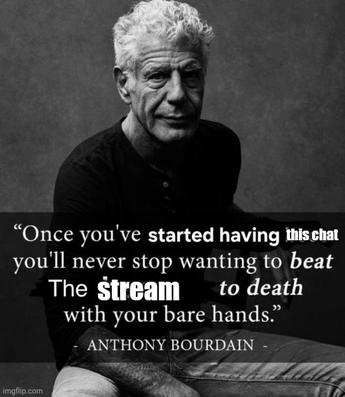 once you've started having bees | this chat; stream | image tagged in once you've started having bees | made w/ Imgflip meme maker