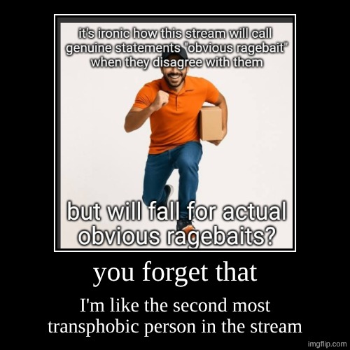 you forget that | I'm like the second most transphobic person in the stream | image tagged in funny,demotivationals | made w/ Imgflip demotivational maker