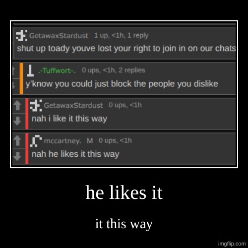 he likes it | it this way | image tagged in funny,demotivationals | made w/ Imgflip demotivational maker