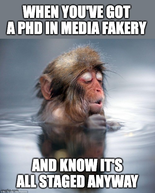PhD media fakery | WHEN YOU'VE GOT A PHD IN MEDIA FAKERY; AND KNOW IT'S ALL STAGED ANYWAY | image tagged in psyops,staged events,autohoax | made w/ Imgflip meme maker
