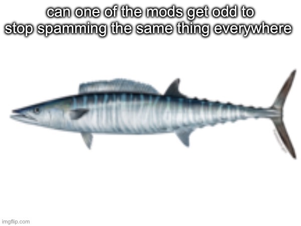 Error: To submit your image you must certify its integrity by ch | can one of the mods get odd to stop spamming the same thing everywhere | image tagged in error to submit your image you must certify its integrity by ch | made w/ Imgflip meme maker