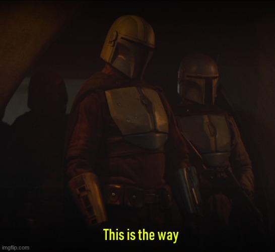 this is the way | image tagged in this is the way | made w/ Imgflip meme maker