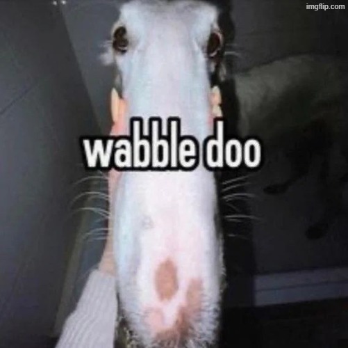 wabble doo | image tagged in wabble doo | made w/ Imgflip meme maker