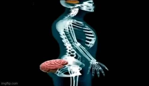 Brain in ass | image tagged in brain in ass | made w/ Imgflip meme maker