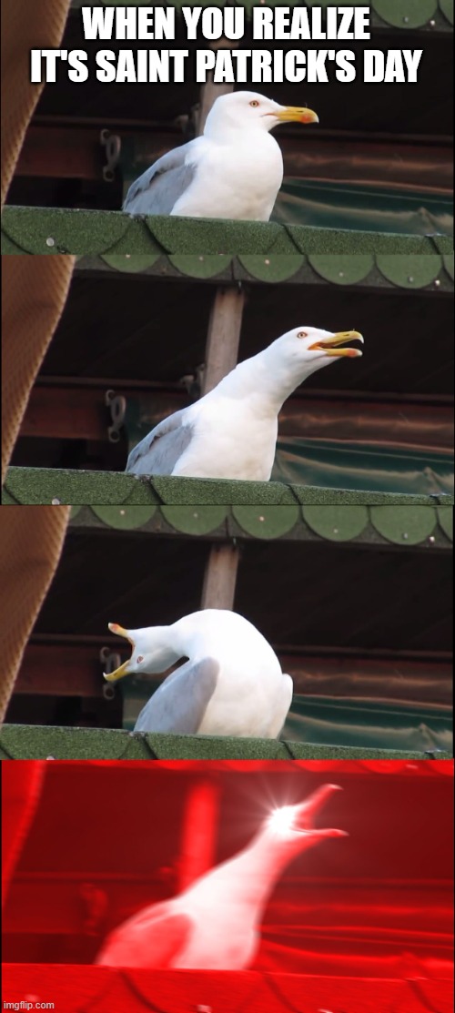 Happy Saint Patrick's Day! | WHEN YOU REALIZE IT'S SAINT PATRICK'S DAY | image tagged in memes,inhaling seagull,funny | made w/ Imgflip meme maker