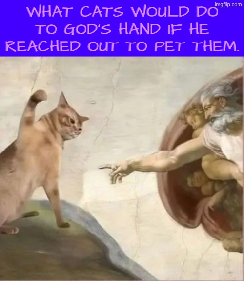 A Cat Would Even Slap God | WHAT CATS WOULD DO TO GOD’S HAND IF HE REACHED OUT TO PET THEM. | image tagged in cats,funny cats,god,slapped,evil overlord rules,hilarious memes | made w/ Imgflip meme maker