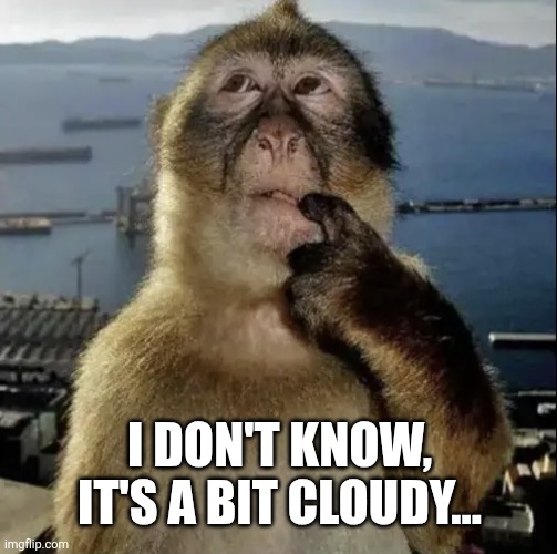 monkey thinking | I DON'T KNOW, IT'S A BIT CLOUDY... | image tagged in monkey thinking | made w/ Imgflip meme maker