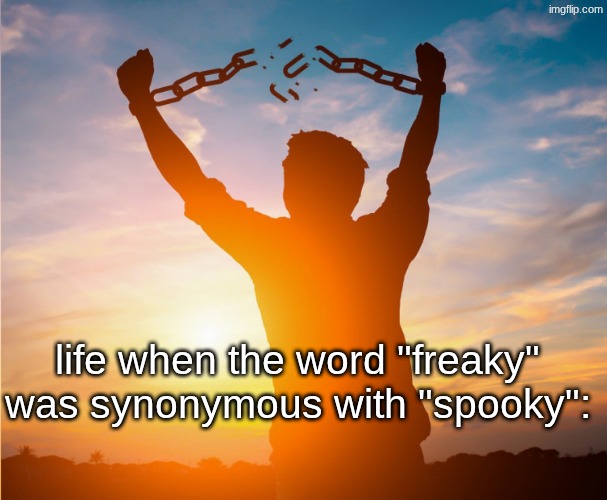 syn·on·y·mous: (of a word or phrase) having the same meaning as another word or phrase in the same language. | life when the word "freaky" was synonymous with "spooky": | image tagged in man breaking free from chains over the sunset | made w/ Imgflip meme maker