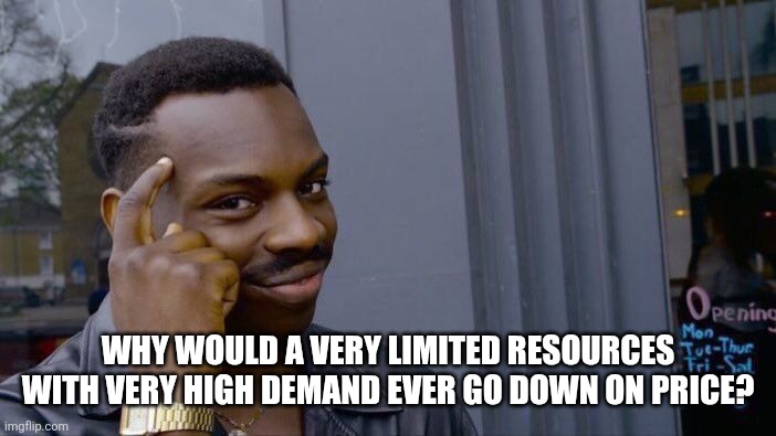 Roll Safe Think About It Meme | WHY WOULD A VERY LIMITED RESOURCES WITH VERY HIGH DEMAND EVER GO DOWN ON PRICE? | image tagged in memes,roll safe think about it | made w/ Imgflip meme maker