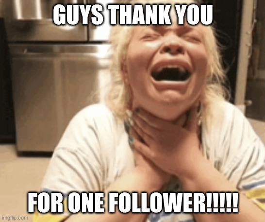 make this meme the most upvoted meme on imgflip if youd like <3 | GUYS THANK YOU; FOR ONE FOLLOWER!!!!! | image tagged in crying | made w/ Imgflip meme maker