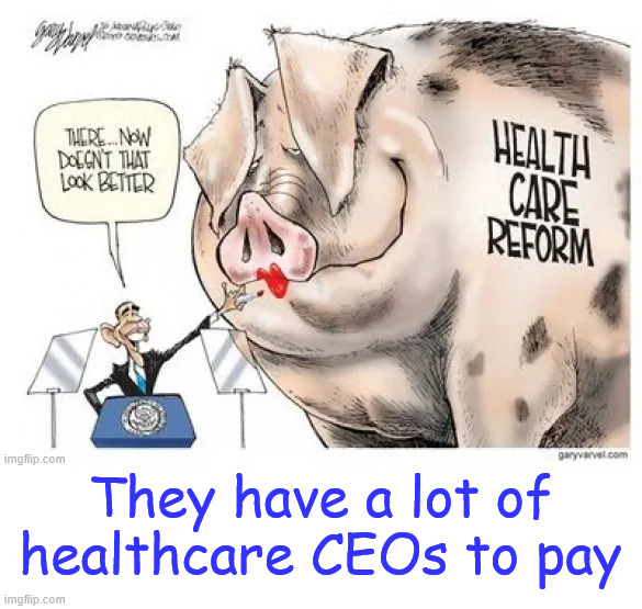 They have a lot of healthcare CEOs to pay | made w/ Imgflip meme maker