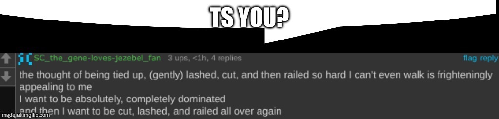 TS YOU? | made w/ Imgflip meme maker