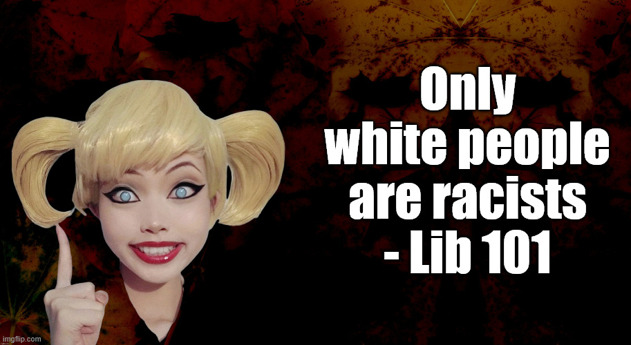 Only white people are racists - Lib 101 | made w/ Imgflip meme maker