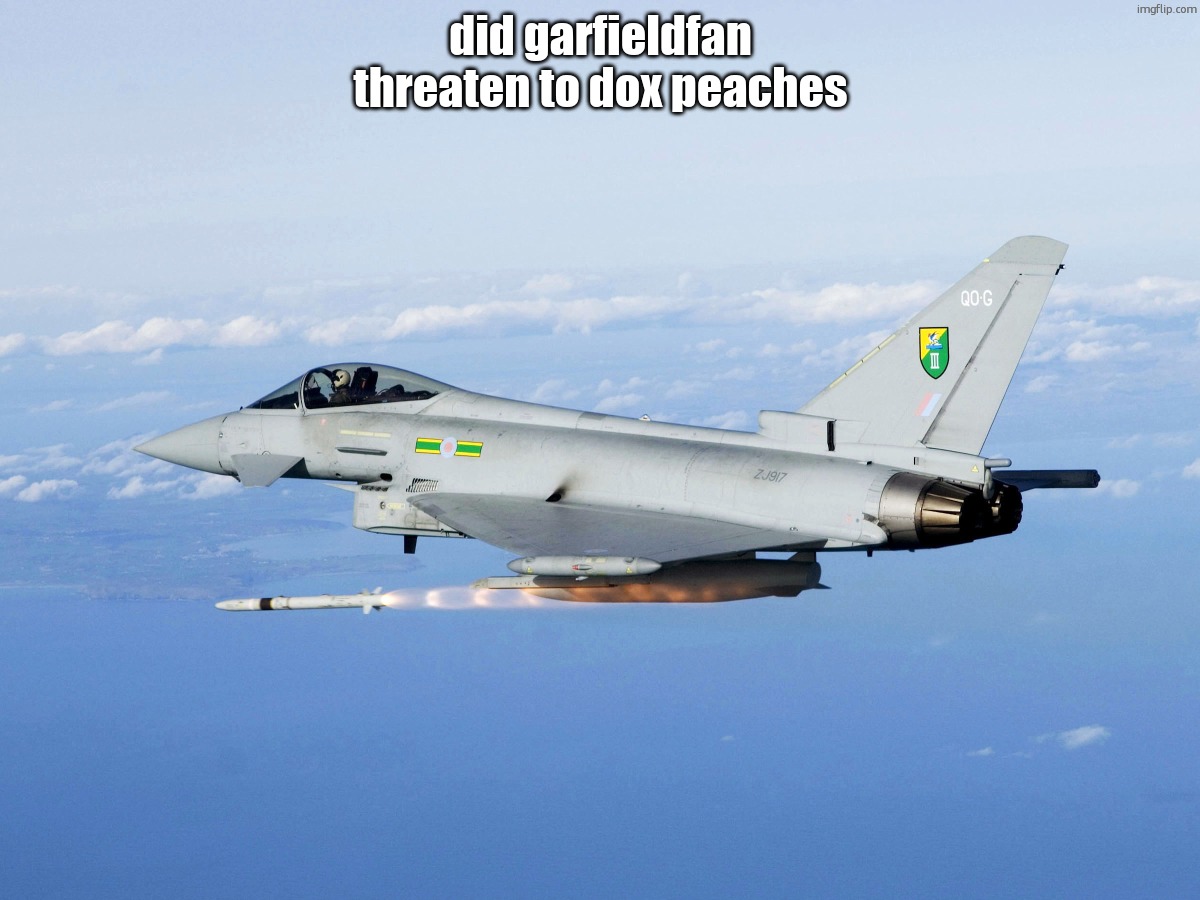Eurofighter missile | did garfieldfan threaten to dox peaches | image tagged in eurofighter missile | made w/ Imgflip meme maker