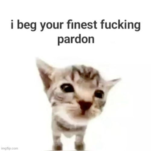 I beg your finest pardon | image tagged in i beg your finest pardon | made w/ Imgflip meme maker