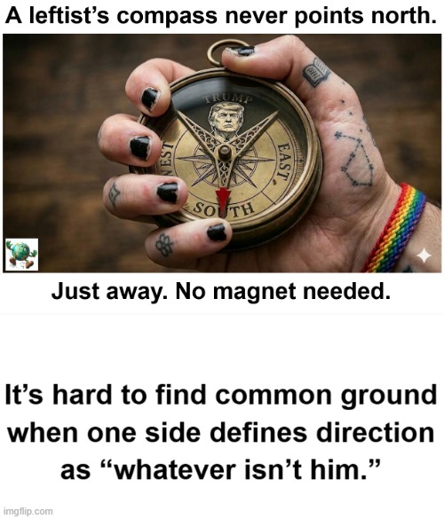 Can Democrats work with Trump on policies that align with public opinion, or do they oppose him no matter what? | image tagged in maga,conservative,leftists | made w/ Imgflip meme maker