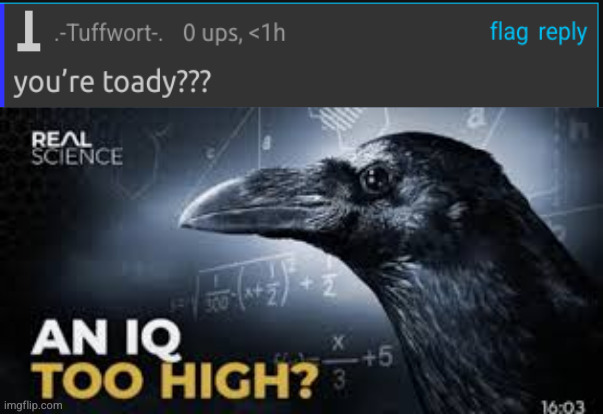 An Iq too high? | image tagged in an iq too high | made w/ Imgflip meme maker