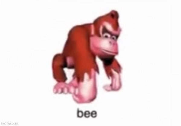 donkey kong bee | image tagged in donkey kong bee | made w/ Imgflip meme maker