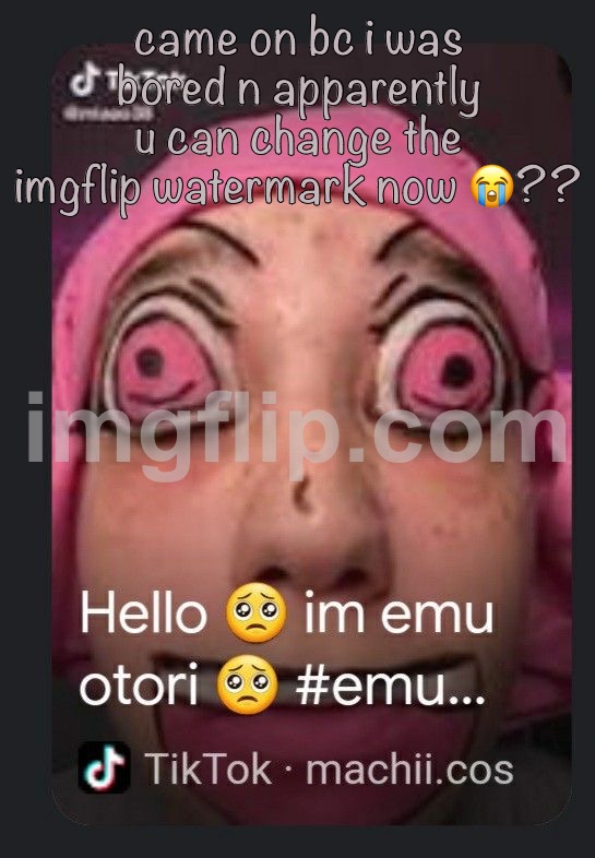 IM CRYJNG DAWG WHO WANTS THAT BIG ASS WATERMARK ?? | came on bc i was bored n apparently u can change the imgflip watermark now 😭?? | made w/ Imgflip meme maker