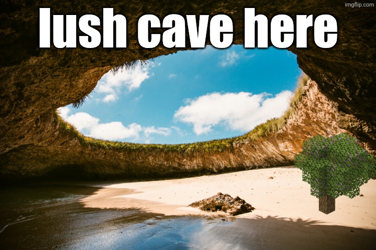 that's so funny | lush cave here | image tagged in minecraft,mc,lush cave here,thats so funny,funny | made w/ Imgflip meme maker