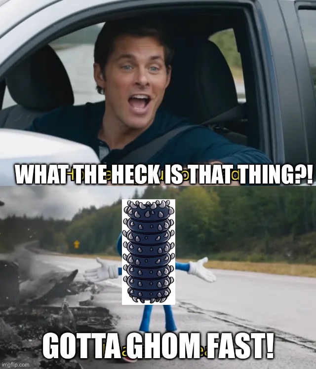 Would would not like to see Knuckles the Zotechidna | WHAT THE HECK IS THAT THING?! GOTTA GHOM FAST! | image tagged in sonic i have no idea | made w/ Imgflip meme maker