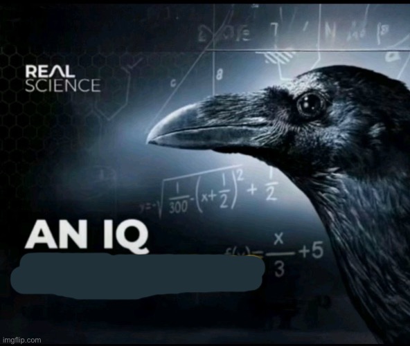 an iq too high? | image tagged in an iq too high | made w/ Imgflip meme maker