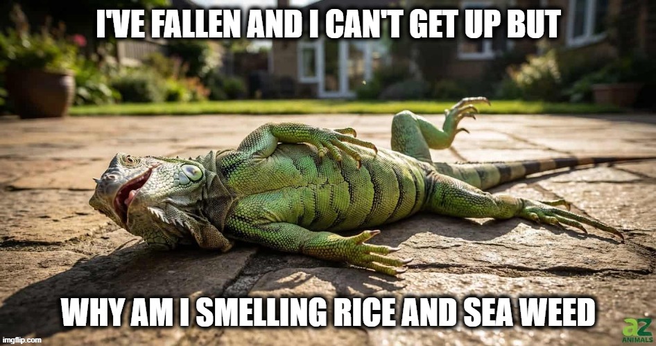 Falling | image tagged in florida man,meanwhile in florida,iguana,sassy iguana | made w/ Imgflip meme maker