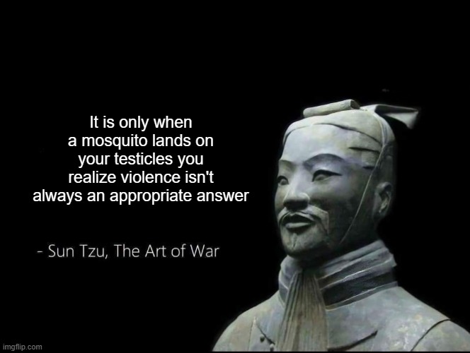 Yes | It is only when a mosquito lands on your testicles you realize violence isn't always an appropriate answer | image tagged in sun tzu quotes,funny memes,memes,fun,fyp,mosquito | made w/ Imgflip meme maker