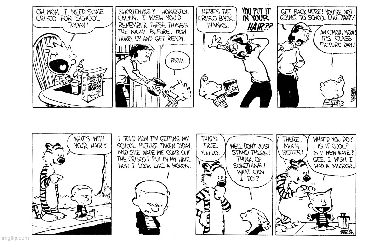 image tagged in calvin and hobbes,comics | made w/ Imgflip meme maker