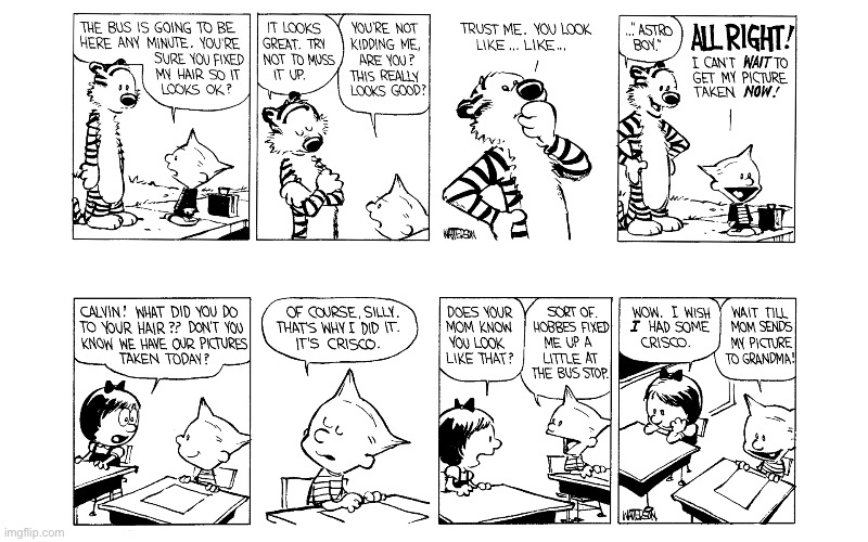 image tagged in calvin and hobbes,comics | made w/ Imgflip meme maker