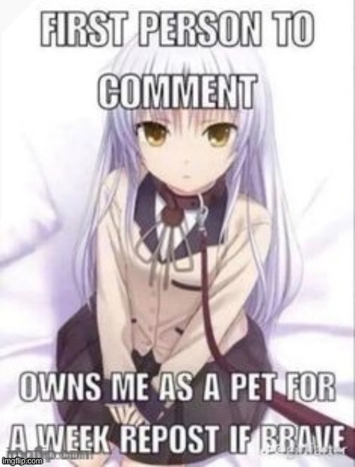 What is this | image tagged in first person to comment owns as a pet for a week | made w/ Imgflip meme maker