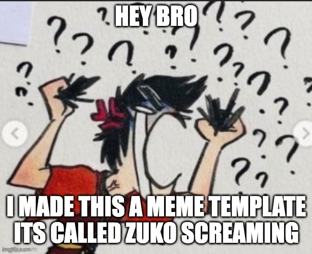 zuko screaming | HEY BRO I MADE THIS A MEME TEMPLATE ITS CALLED ZUKO SCREAMING | image tagged in zuko screaming | made w/ Imgflip meme maker