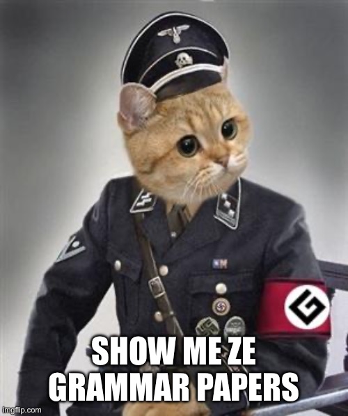 Grammar Nazi Cat | SHOW ME ZE GRAMMAR PAPERS | image tagged in grammar nazi cat | made w/ Imgflip meme maker