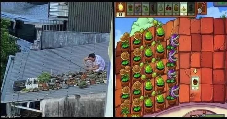 bro beat level 5-1 | image tagged in pvz,roof,meme | made w/ Imgflip meme maker