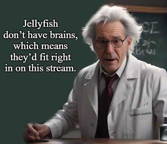 Jellyfish don’t have brains, which means they’d fit right in on this stream. | made w/ Imgflip meme maker