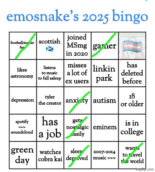 done | image tagged in emosnake's 2025 bingo | made w/ Imgflip meme maker