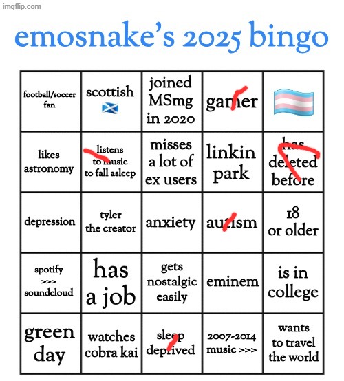 emosnake's 2025 bingo | image tagged in emosnake's 2025 bingo | made w/ Imgflip meme maker