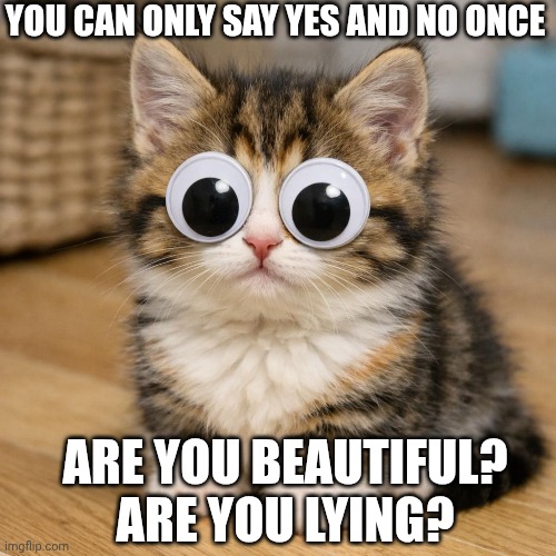 Hi there | YOU CAN ONLY SAY YES AND NO ONCE; ARE YOU BEAUTIFUL?
ARE YOU LYING? | image tagged in kitten with googly eyes | made w/ Imgflip meme maker
