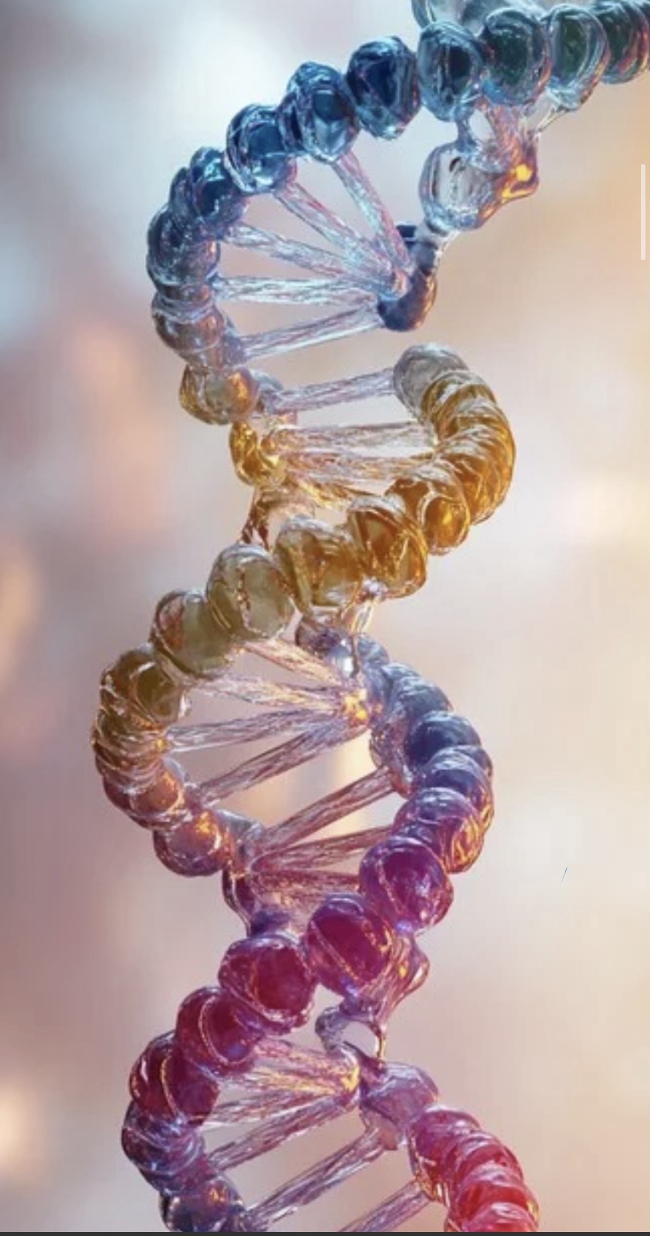 "I'm so... twisty," Blank Meme Template