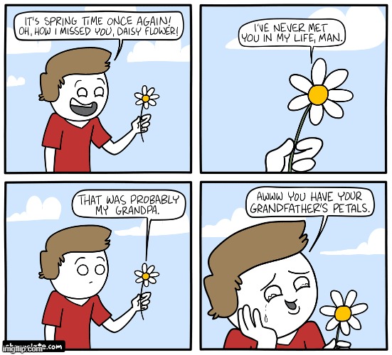 image tagged in spring,flower,daisy,grandpa,petals,lol | made w/ Imgflip meme maker